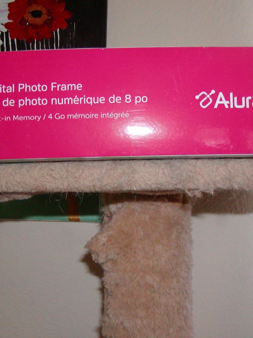 Digital 8" Photo Frame - Picture 7 of 7